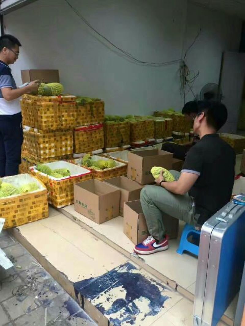 水果木瓜大量供应，1至3斤……欢迎你实地考察，，，，