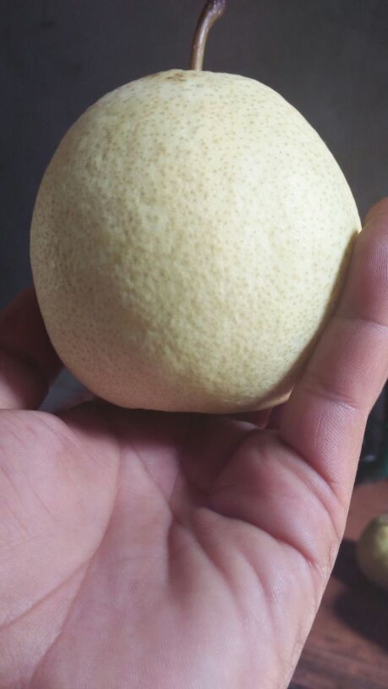 酥梨纸袋200~250g