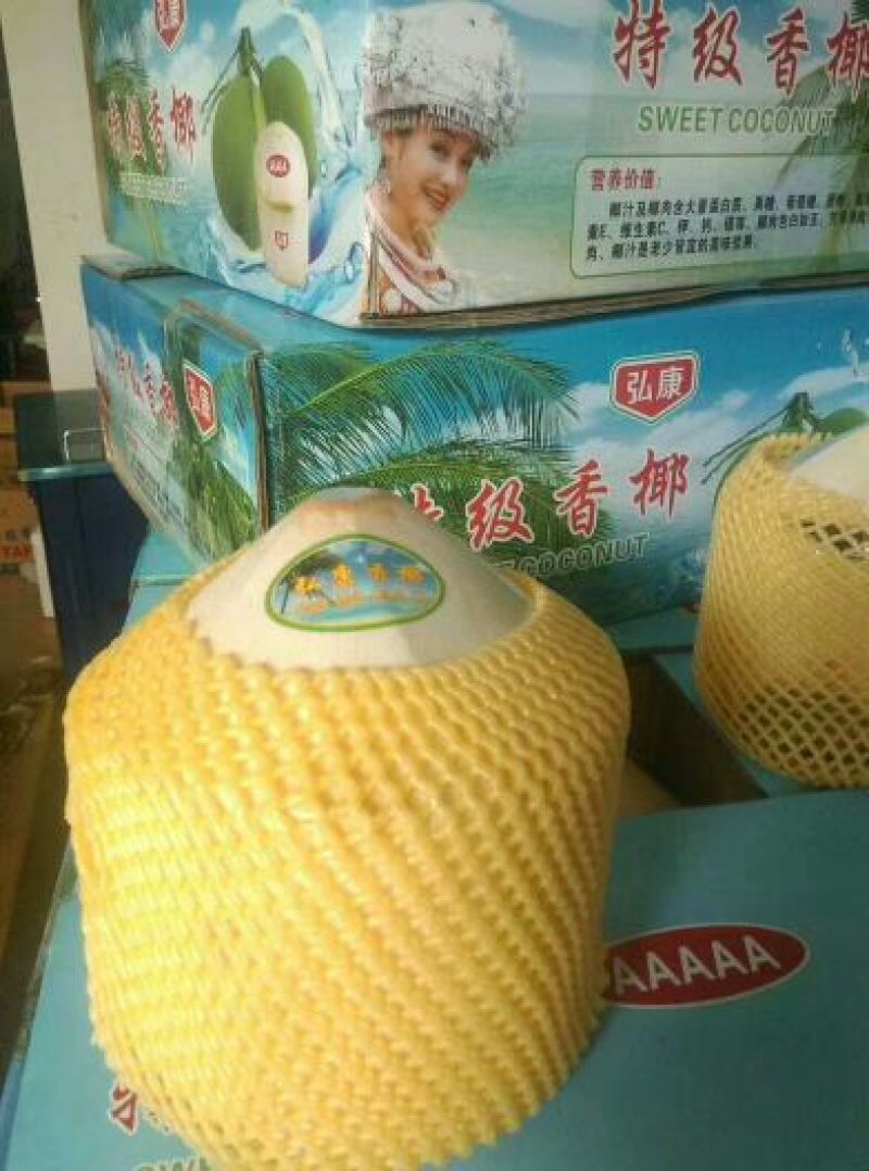海南椰子5~6斤
