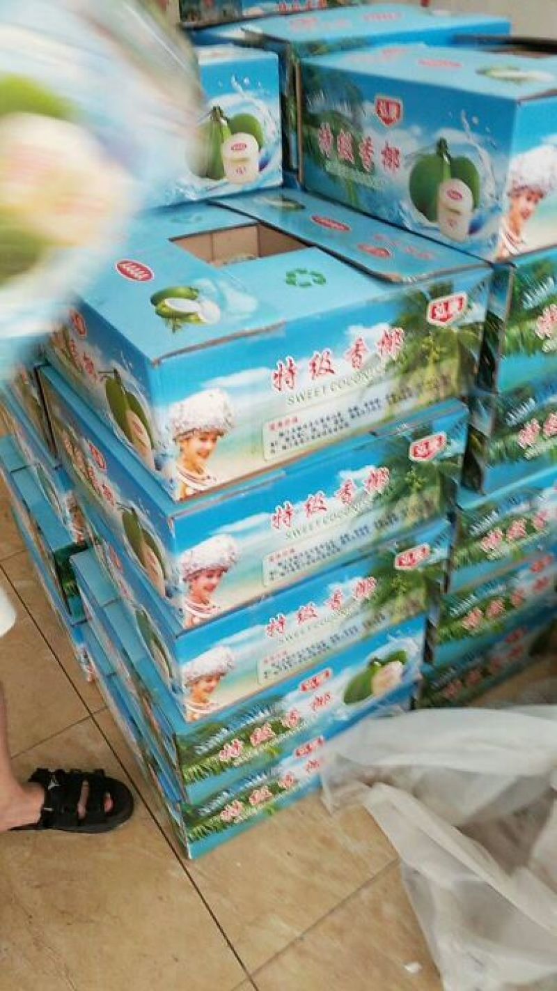 海南椰子5~6斤