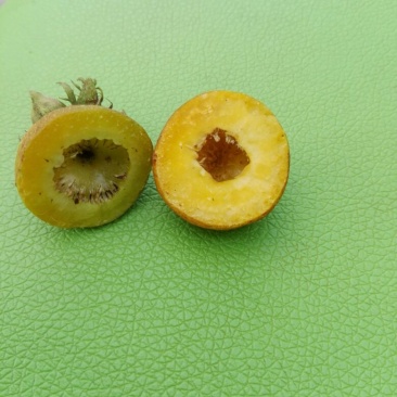 刺梨鲜