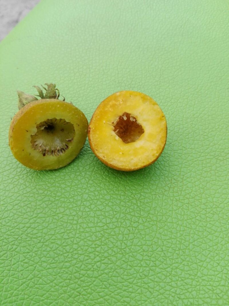 刺梨鲜