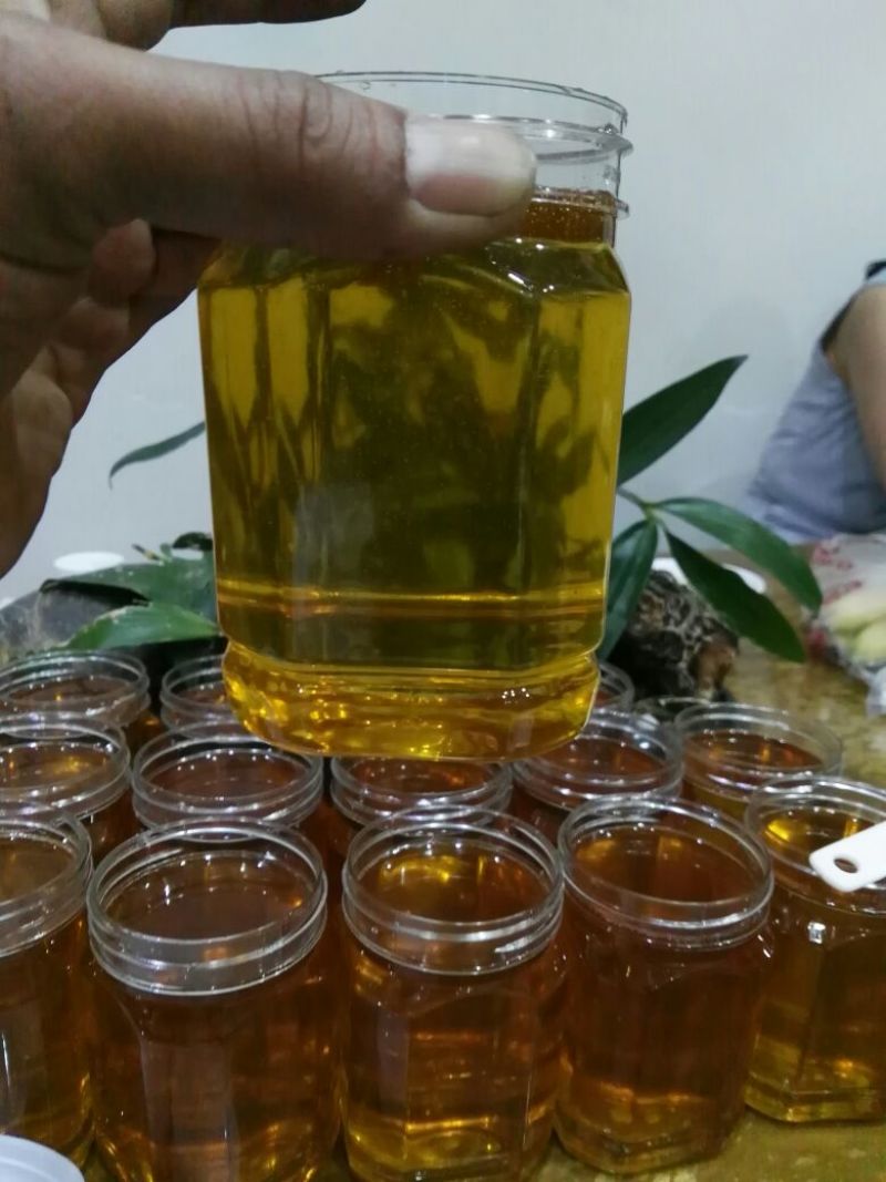 野生小挂蜜蜂平箱装