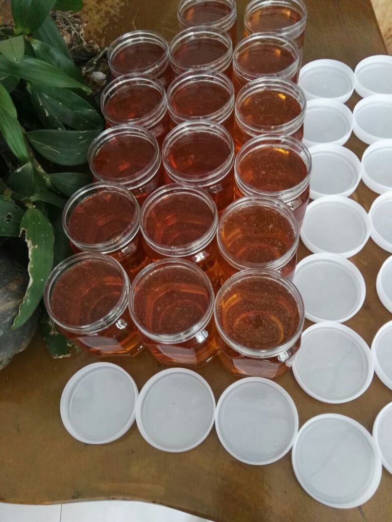 野生小挂蜜蜂平箱装