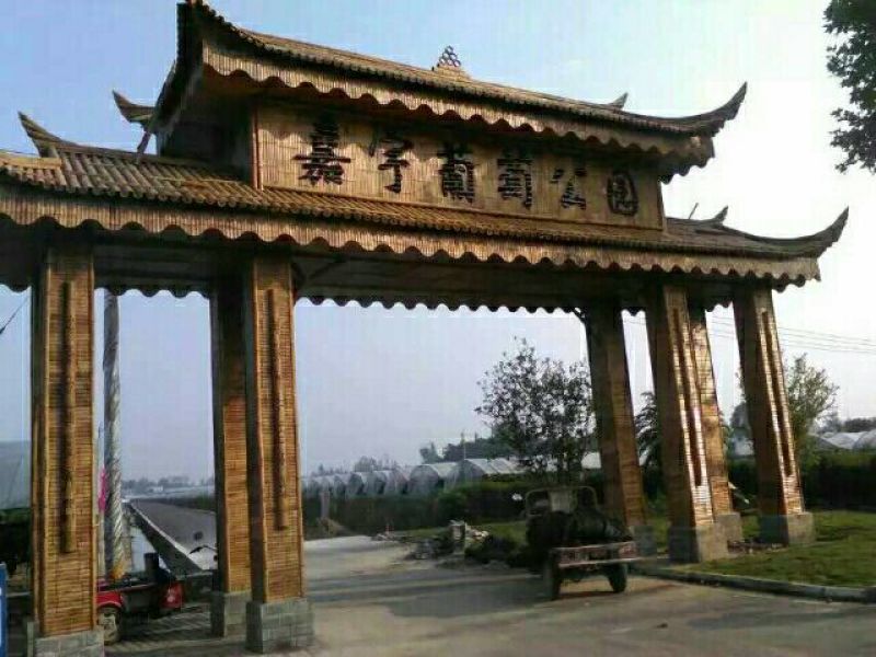 原产地供货，大量供应直销竹子6~7m，规格自定