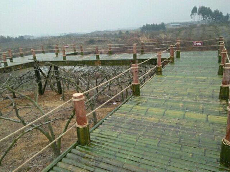 原产地供货，大量供应直销竹子6~7m，规格自定
