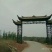 原产地供货，大量供应直销竹子6~7m，规格自定