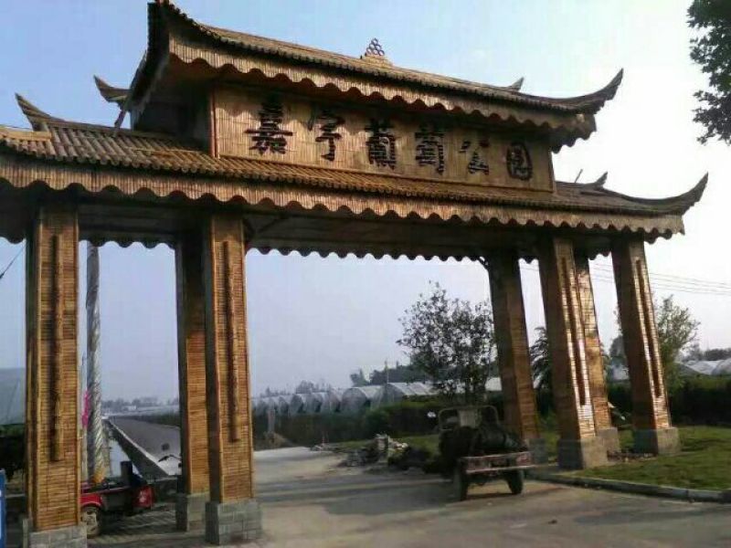 原产地供货，大量供应直销竹子6~7m，规格自定