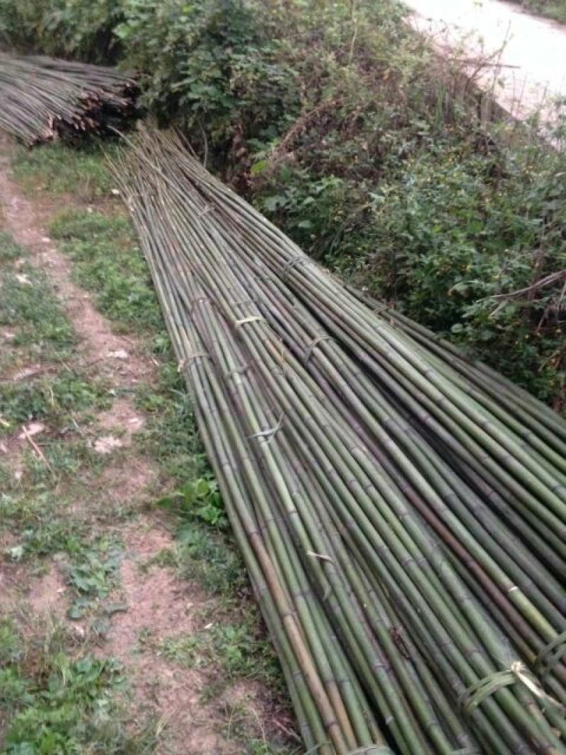 基地原产地直供各类规格西瓜大棚竹片，羊肚菌用大棚竹片
