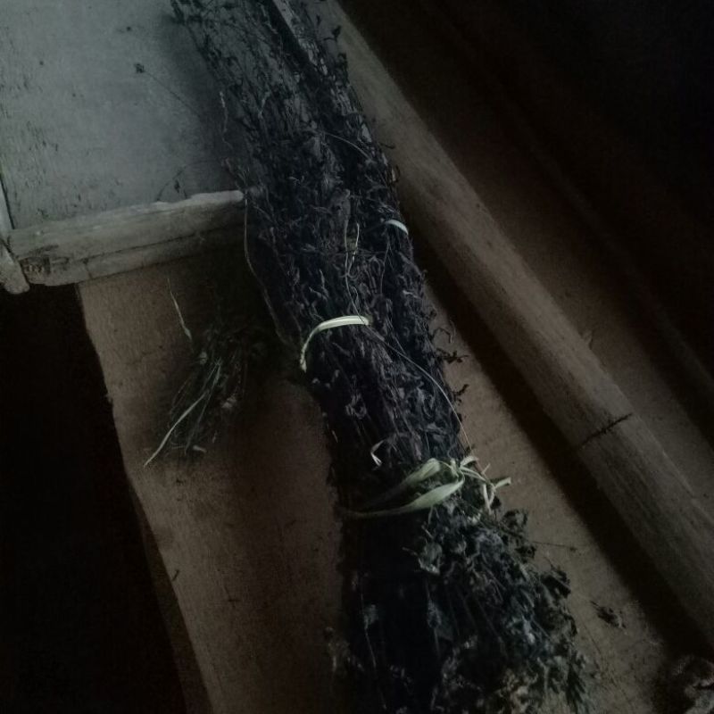 鬼羽箭