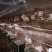种兔肉兔种兔价格，种兔
