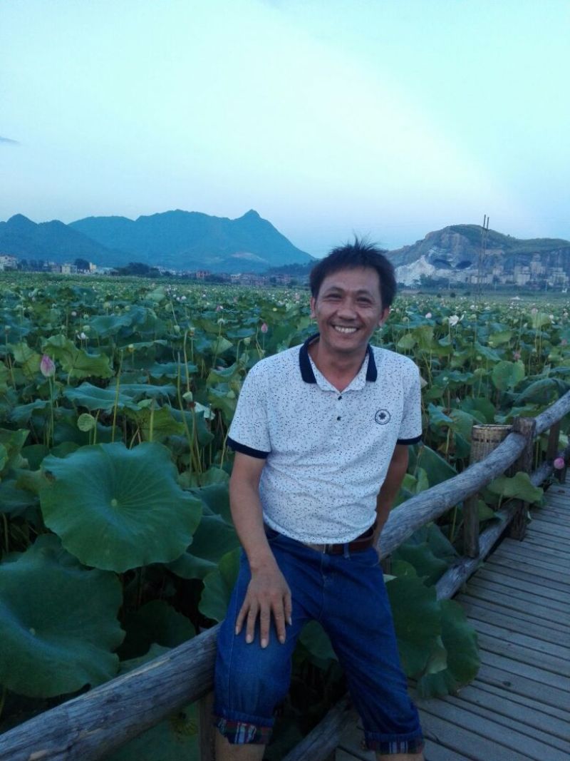 莲子一级干莲子