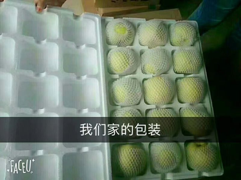 酥梨光果300~350g