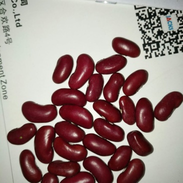 红豆包装