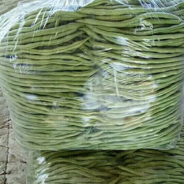 架豆王，无丝豆20厘米以上