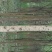 国槐1~2米10~12cm8~10cm