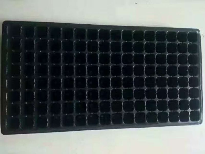 穴盘50孔