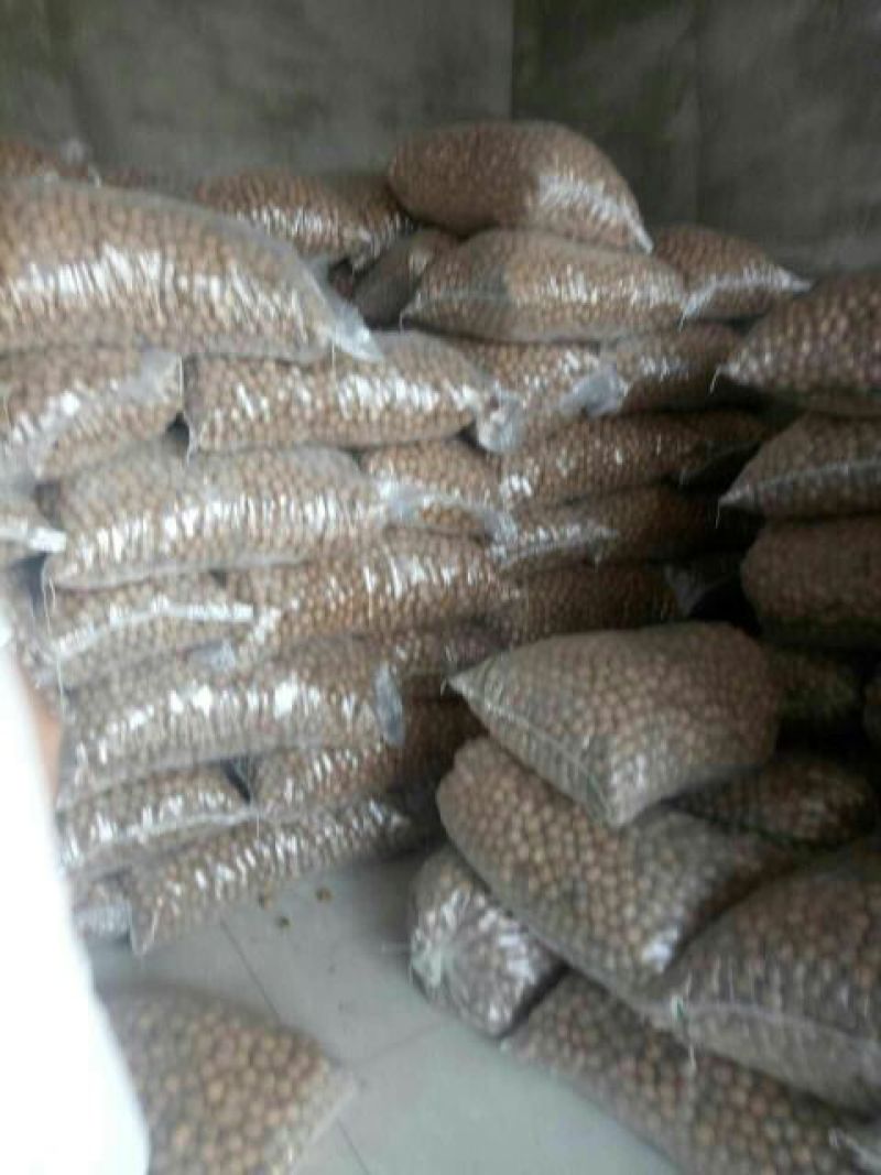 薄皮核桃30mm以上去皮干