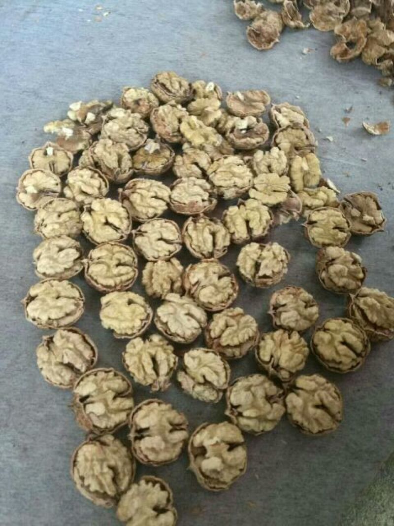薄皮核桃30mm以上去皮干