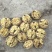 薄皮核桃30mm以上去皮干