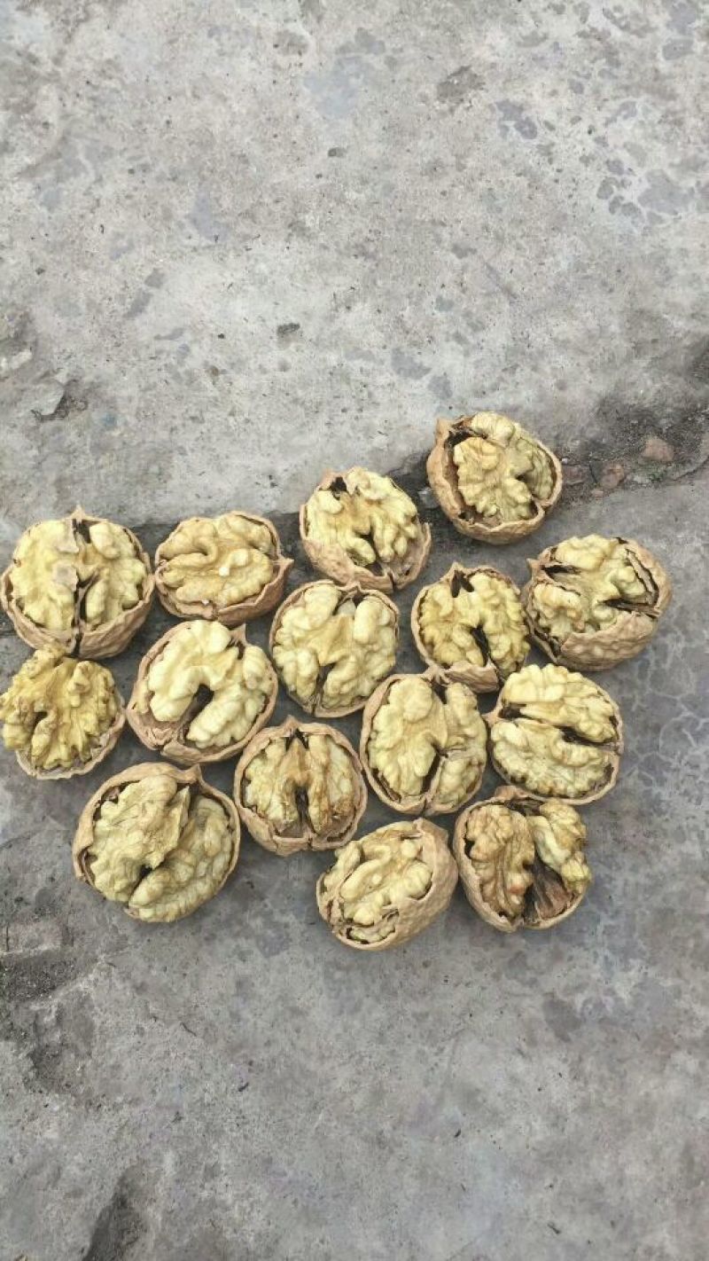 薄皮核桃30mm以上去皮干