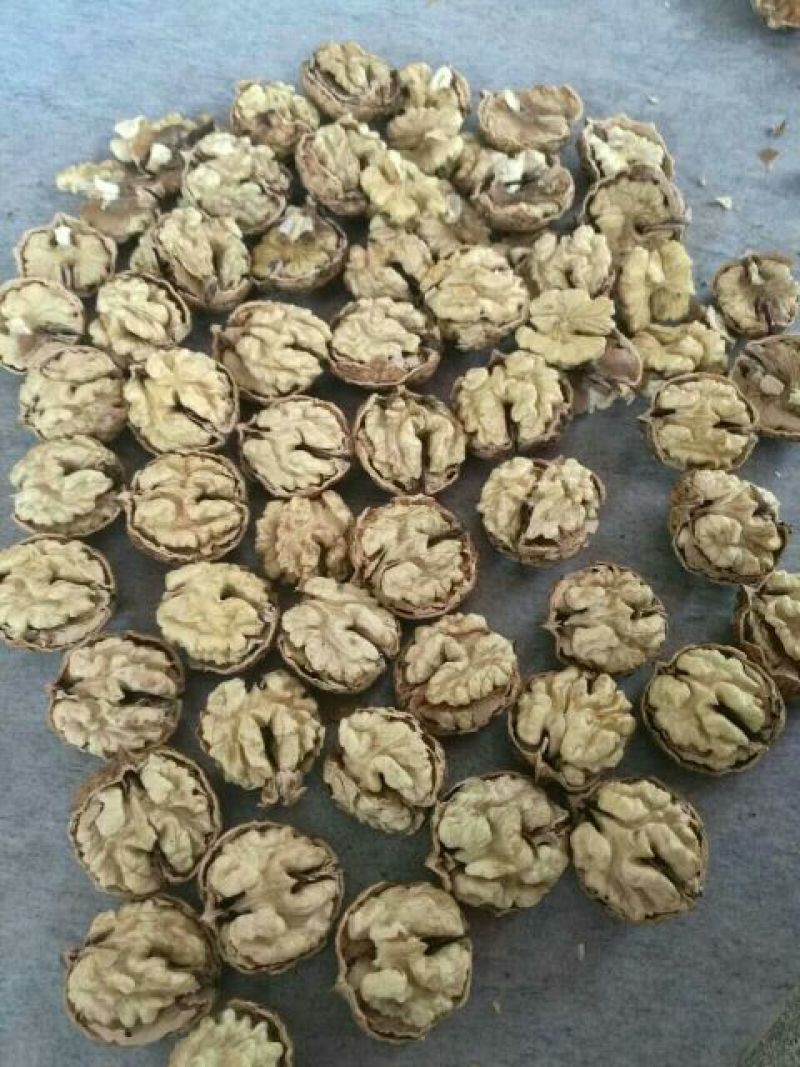 薄皮核桃30mm以上去皮干