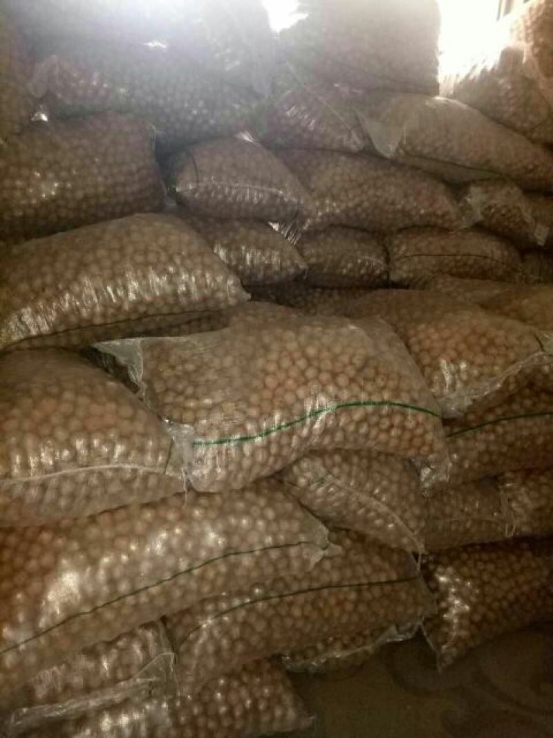 薄皮核桃30mm以上去皮干
