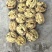薄皮核桃30mm以上去皮干