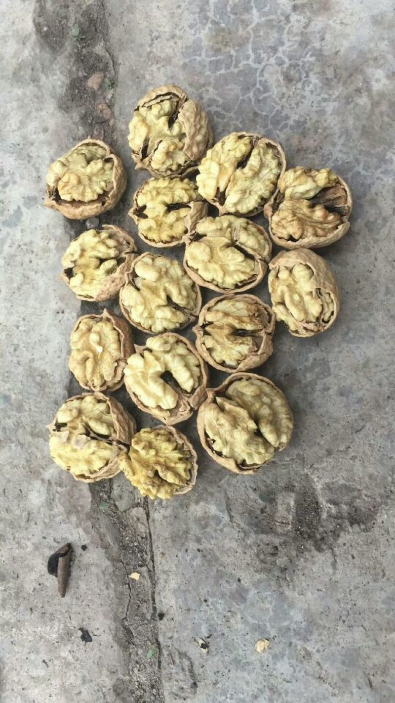 薄皮核桃30mm以上去皮干
