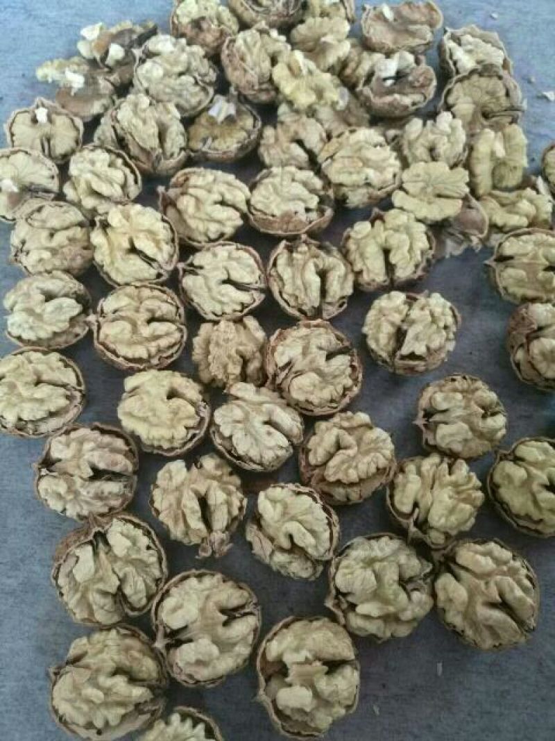 薄皮核桃30mm以上去皮干