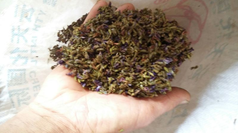 广西野生葛花