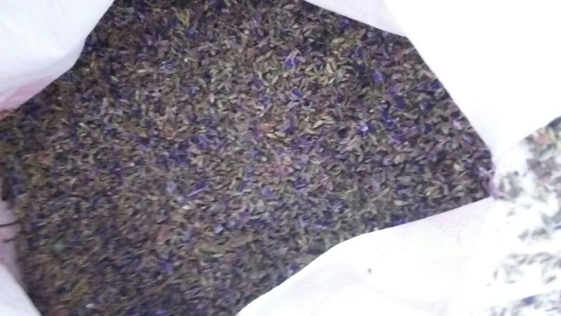 广西野生葛花