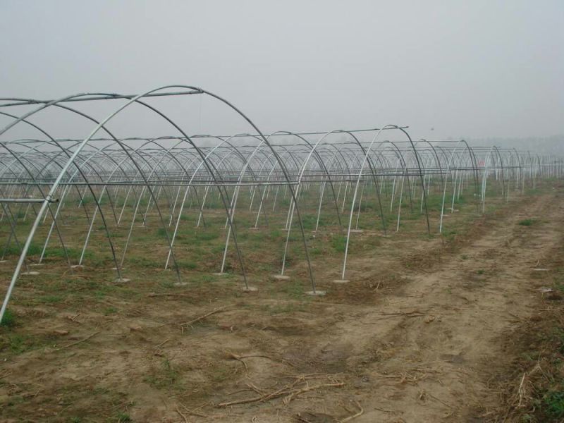 大棚骨架625型号828型号热度锌使用寿命长抗雪好