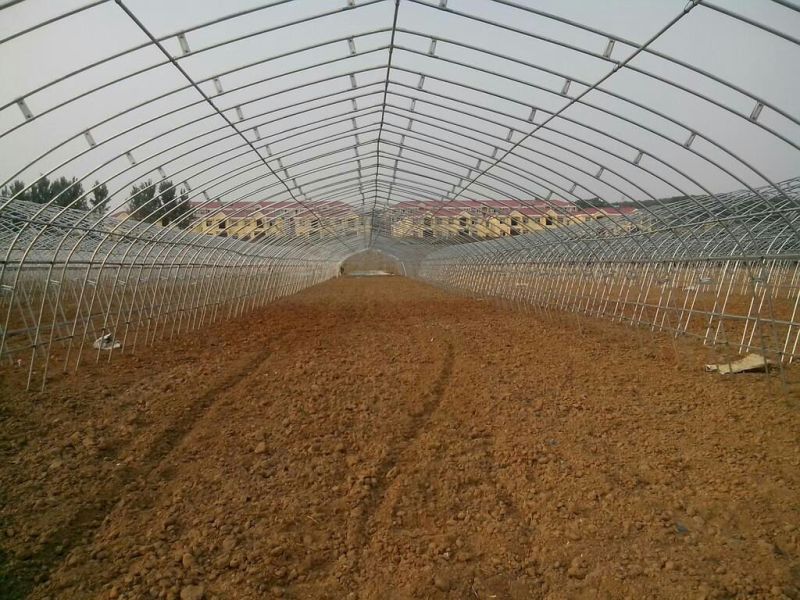 大棚骨架625型号828型号热度锌使用寿命长抗雪好