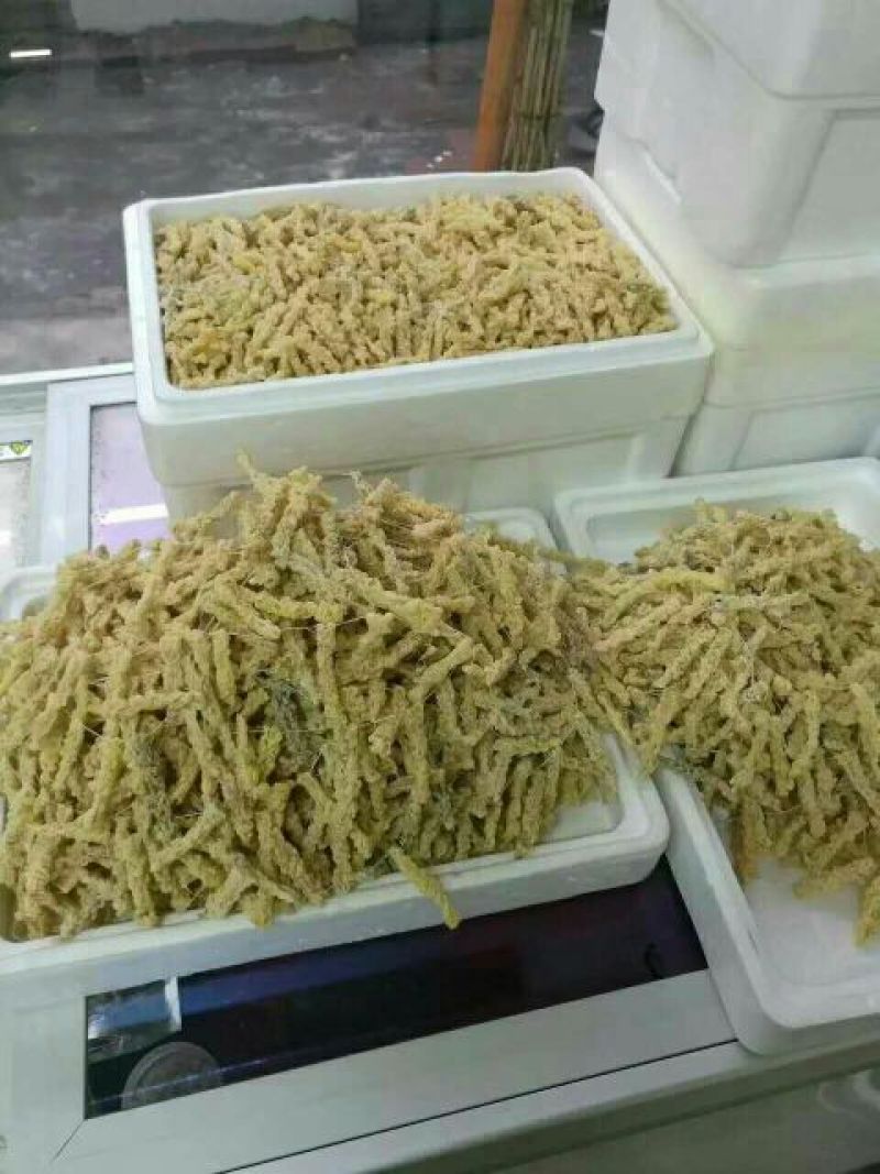 林蛙油