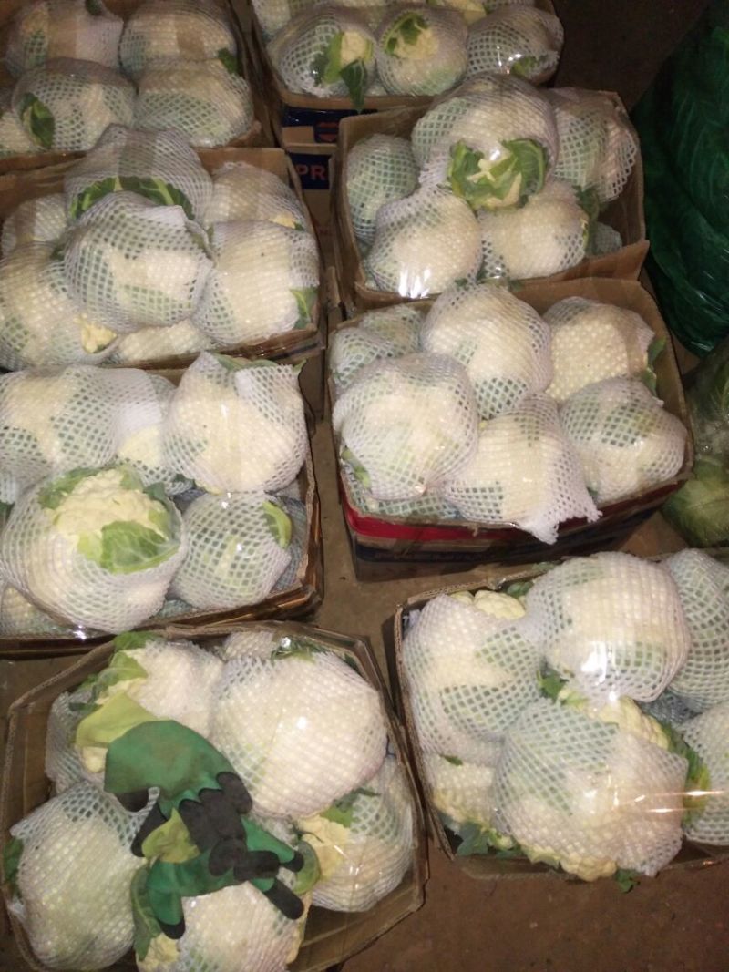 菜花紧密乳白2斤