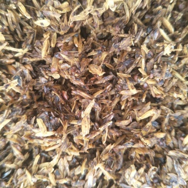 新鲜五粮酒糟，，，，，干酒糟粉，青储豆渣