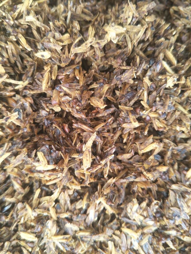 新鲜五粮酒糟，，，，，干酒糟粉，青储豆渣