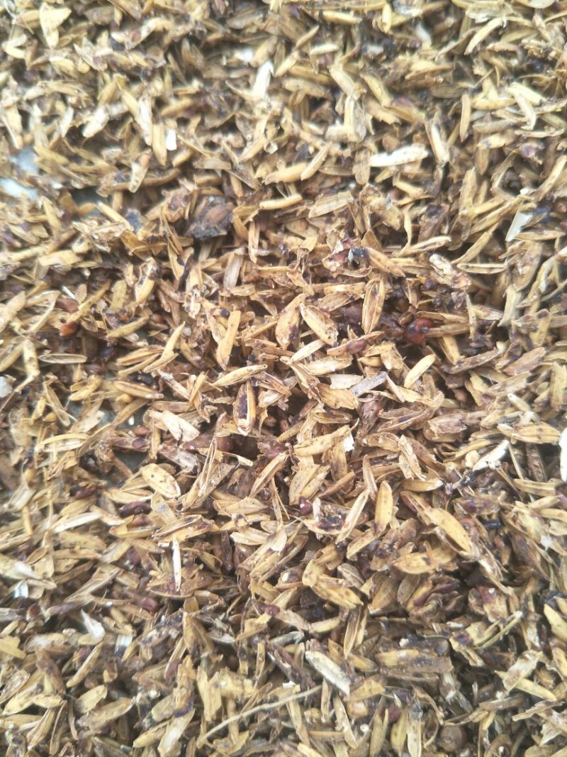 新鲜五粮酒糟，，，，，干酒糟粉，青储豆渣