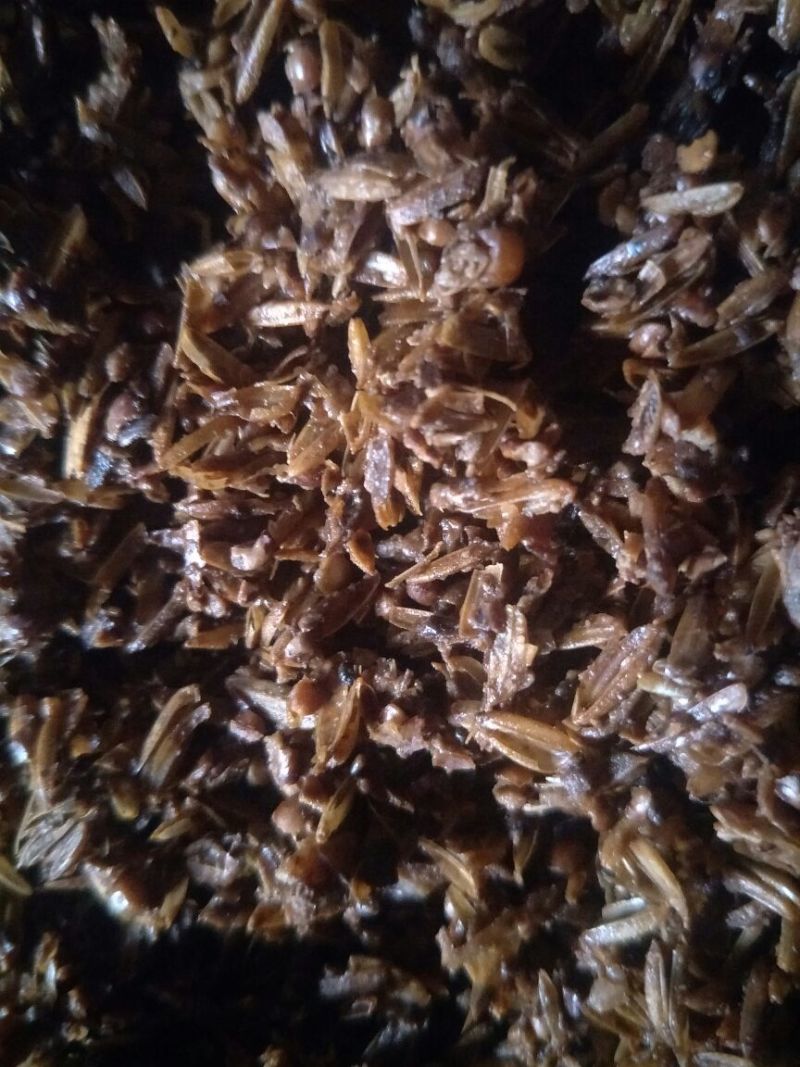 新鲜五粮酒糟，，，，，干酒糟粉，青储豆渣
