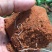 黄金百香果苗10~20cm