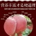 花牛75以上光果