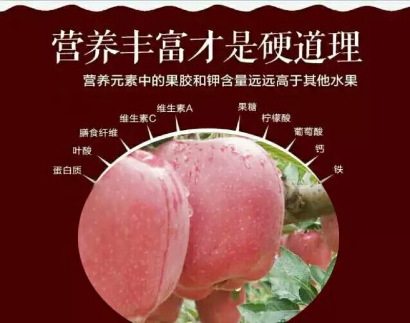 花牛75以上光果