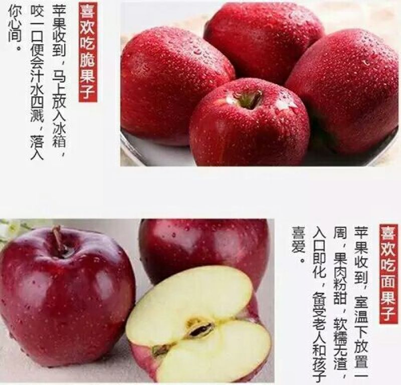 花牛75以上光果