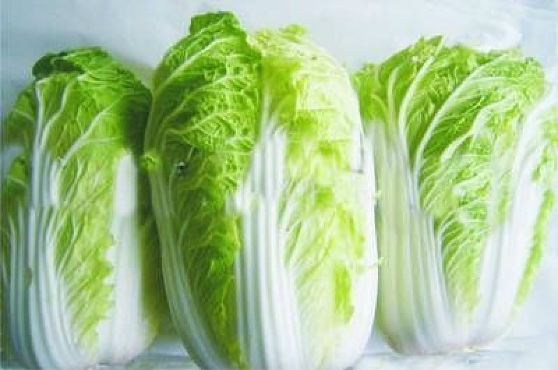 大白菜毛菜2~3斤