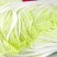 大白菜毛菜2~3斤