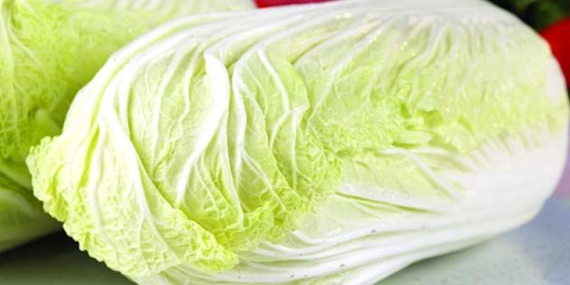 大白菜毛菜2~3斤