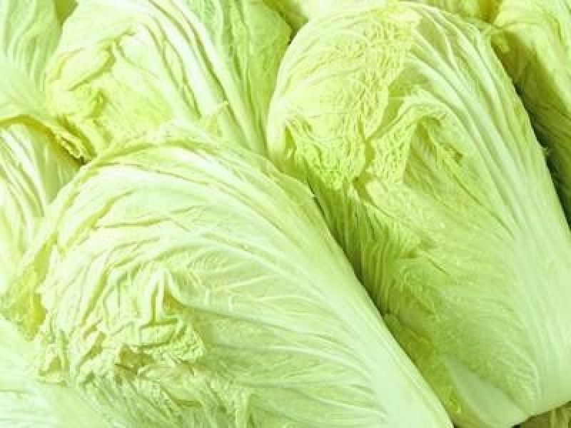 大白菜毛菜2~3斤