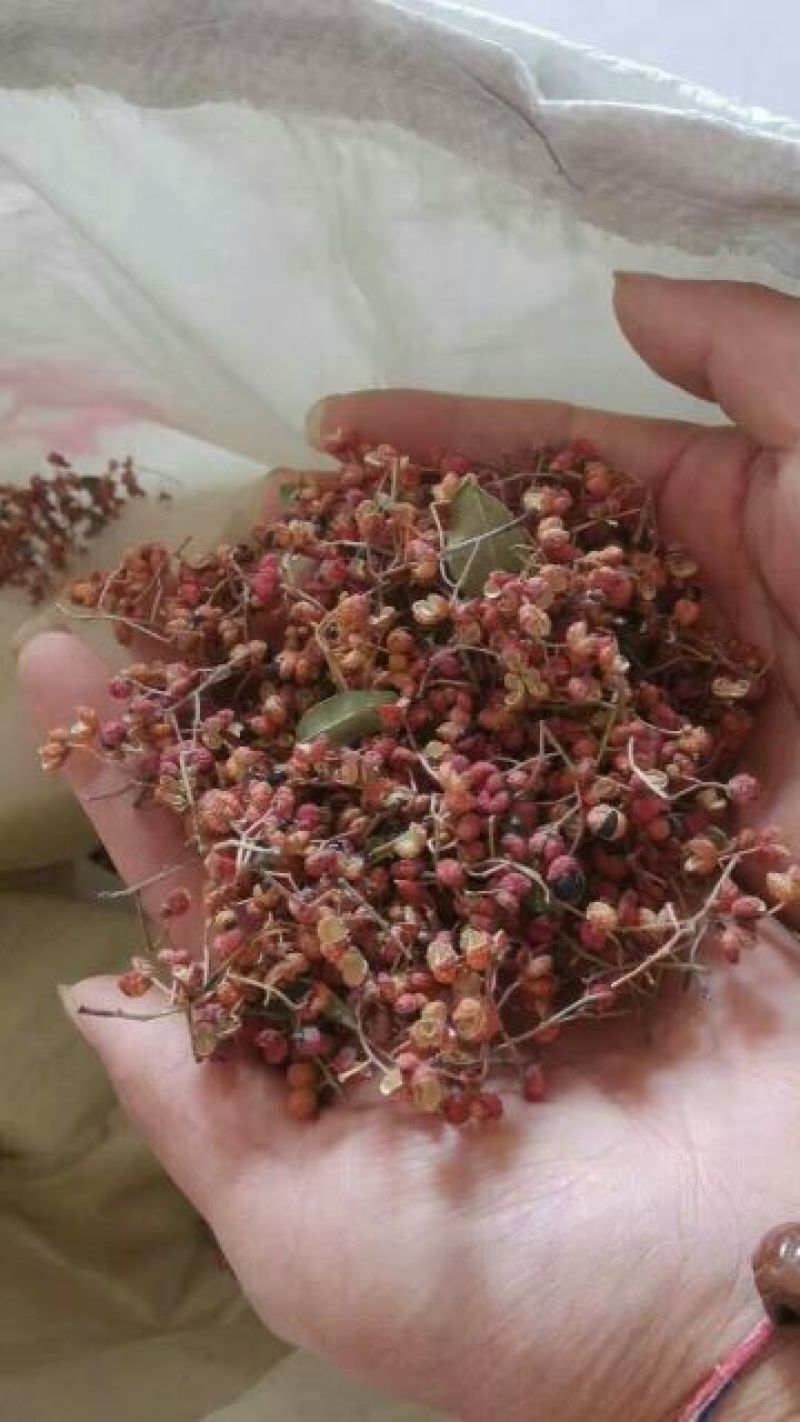 大红袍花椒一级干