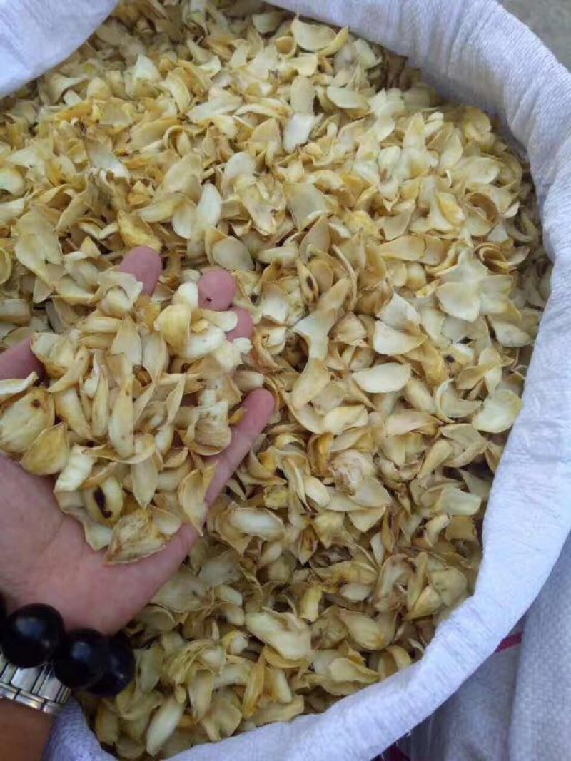 龙山百合四头药食两用